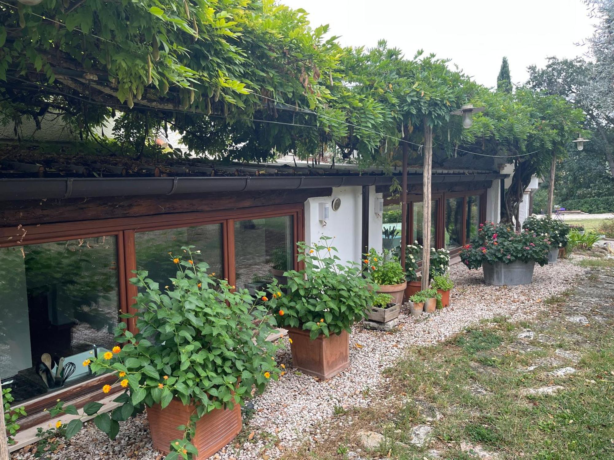 Casa Sant Angelo Apartment เปซาโร ภายนอก รูปภาพ
